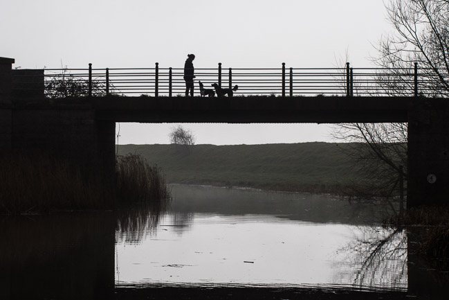 Dog walker on High Bridge, Aldreth, Cambridgeshire