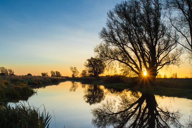 View along Old West River (River Great Ouse), Haddenham / Aldreth, Cambs