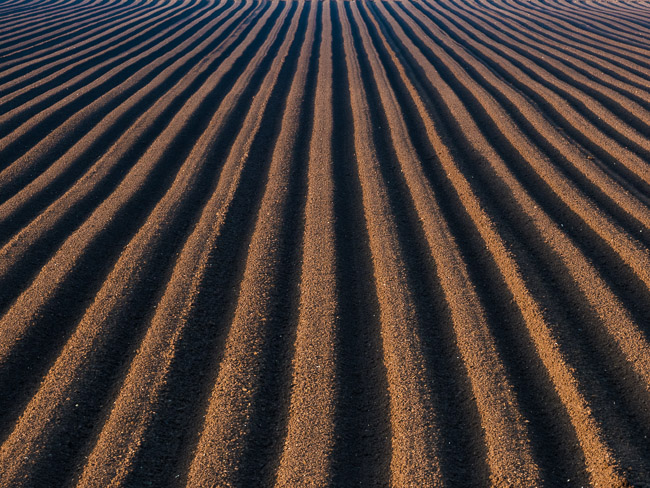 Recently ploughed field, Aldreth, Cambs