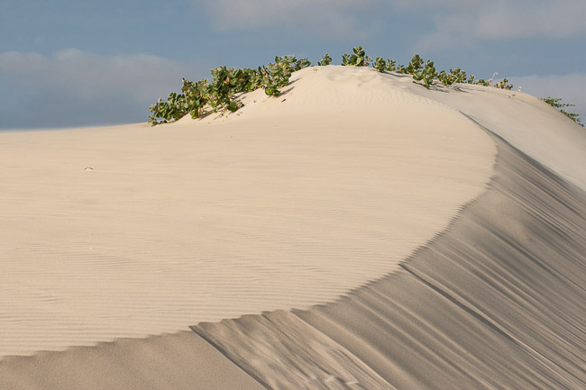 Sand dune near Praia de Chaves, Boa Vista, Cape Verde