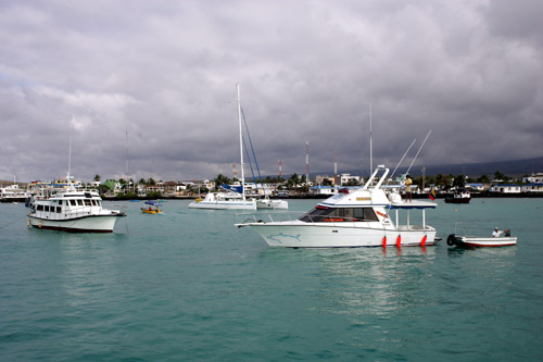 Puerto Ayora, Santa Cruz