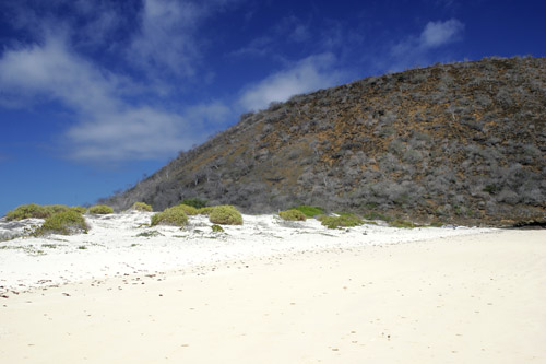 Punta Cormorant, Floreana