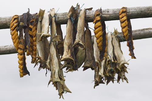 Drying fish