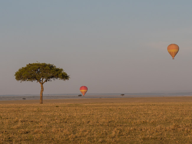 Balloons, Masai Mara
