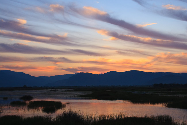 Wetland near Kalloni at sunset, Lesvos, Greece