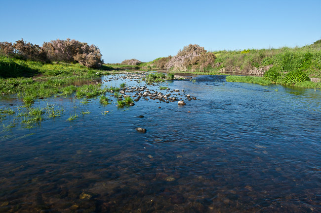 River near Kalloni, Lesvos, Greece