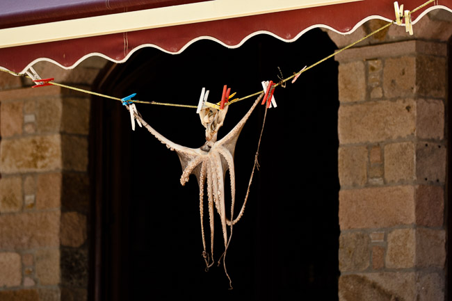 Squid drying outside restaurant, Lesvos, Greece