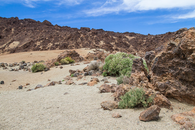 Lava field at Cañadas del Teide, Tenerife