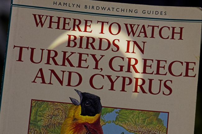 Partial eclipse projected onto guide book.