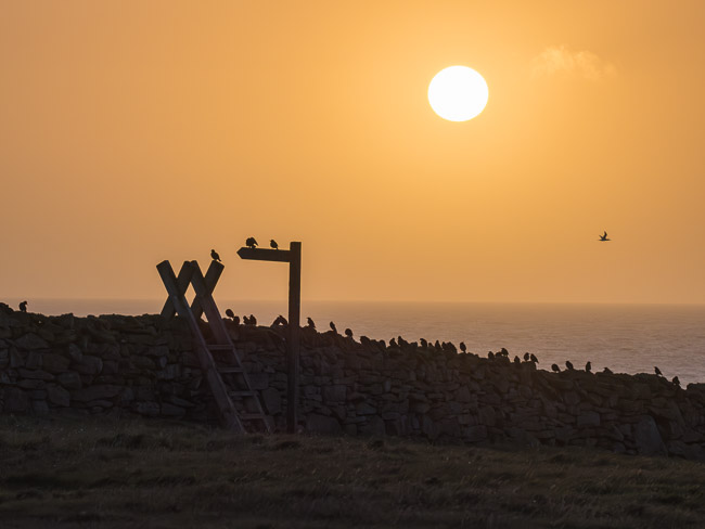 Sun setting over sea, Huxter, near Sandness, Shetland