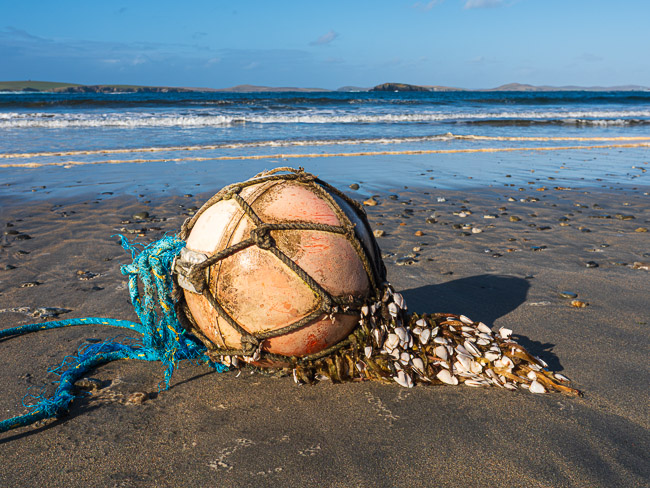 Buoy with goose barnacles on beach at Maywick, Shetland