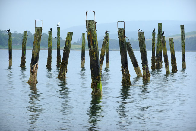Remains of old jetty, Salen Bay, Isle of Mull, Argyll and Bute
