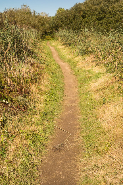 Path through Lower Moors, St Mary's, Isles of Scilly