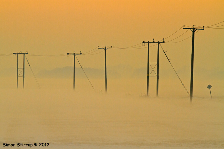 Line of telegraph poles