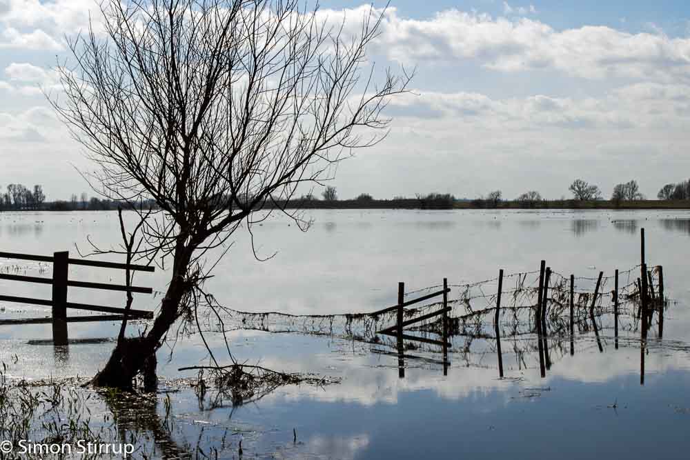Flooded fence