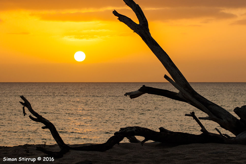 Sunset and driftwood at Praia de Chaves