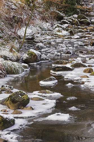 Snowy beck scene
